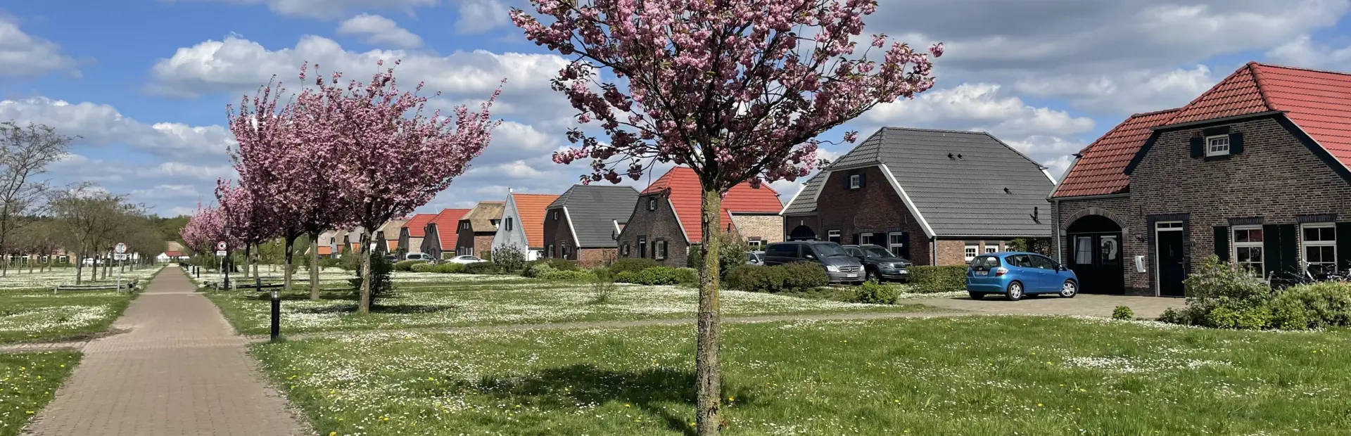 Lente bij de Leistert