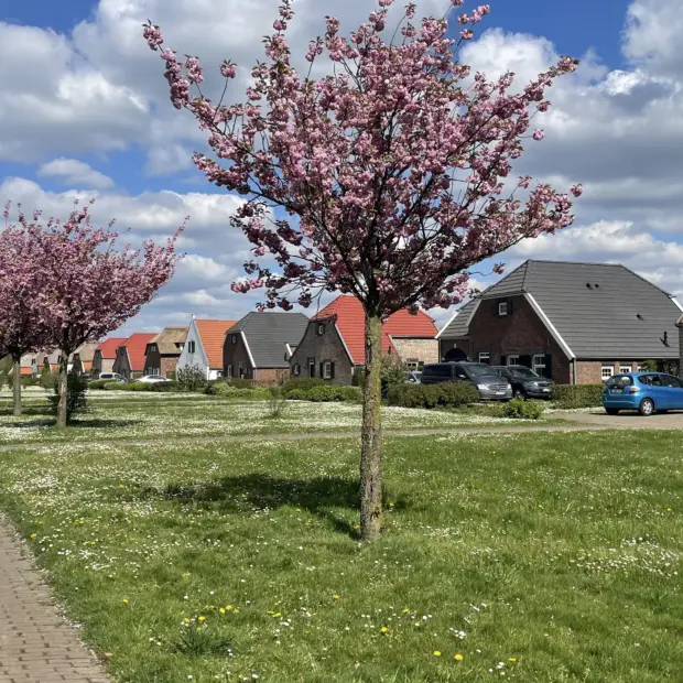 Lente bij de Leistert