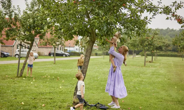 Lente Bungalowpark de Leistert 1