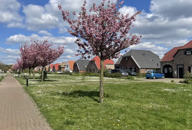 Lente bij de Leistert