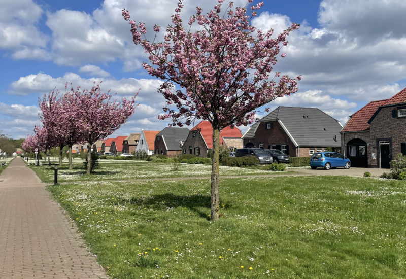 Lente bij de Leistert