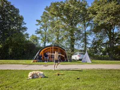 Kampeerplaats Comfort met huisdier en speelelement 2