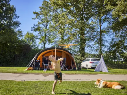 Kampeerplaats Comfort met huisdier en speelelement 1