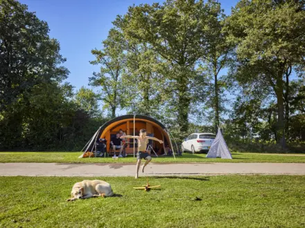 Kampeerplaats Comfort met huisdier en speelelement 2