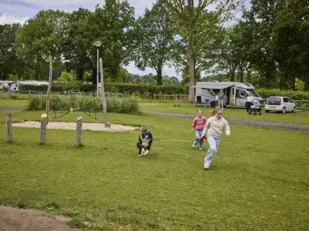 Kampeerplaats Comfort met huisdier en speelelement 23