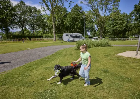 Kampeerplaats Comfort met huisdier en speelelement 16