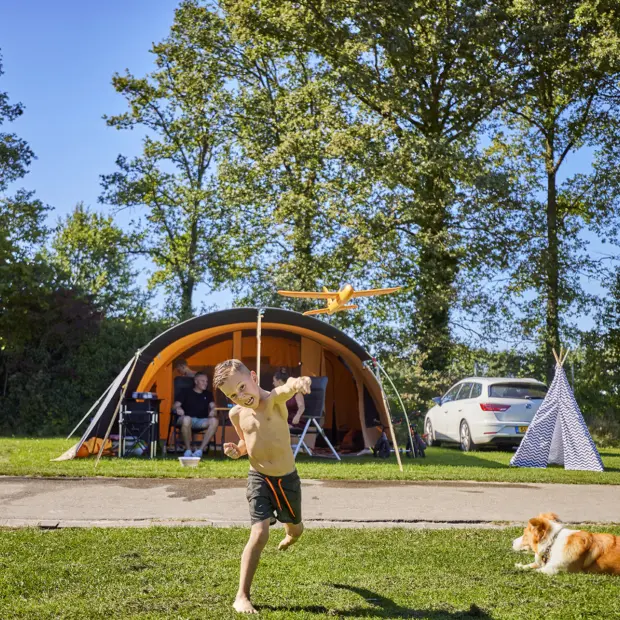 Kampeerplaats Comfort met huisdier en speelelement 1