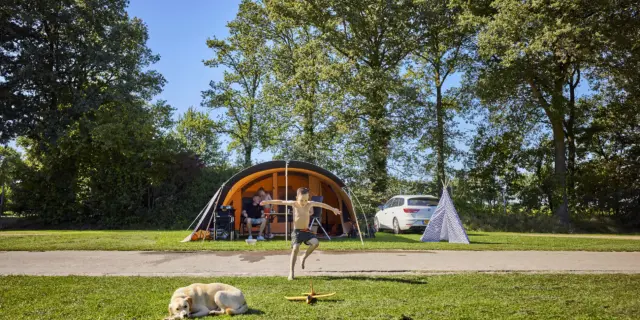 Kampeerplaats Comfort met huisdier en speelelement 2