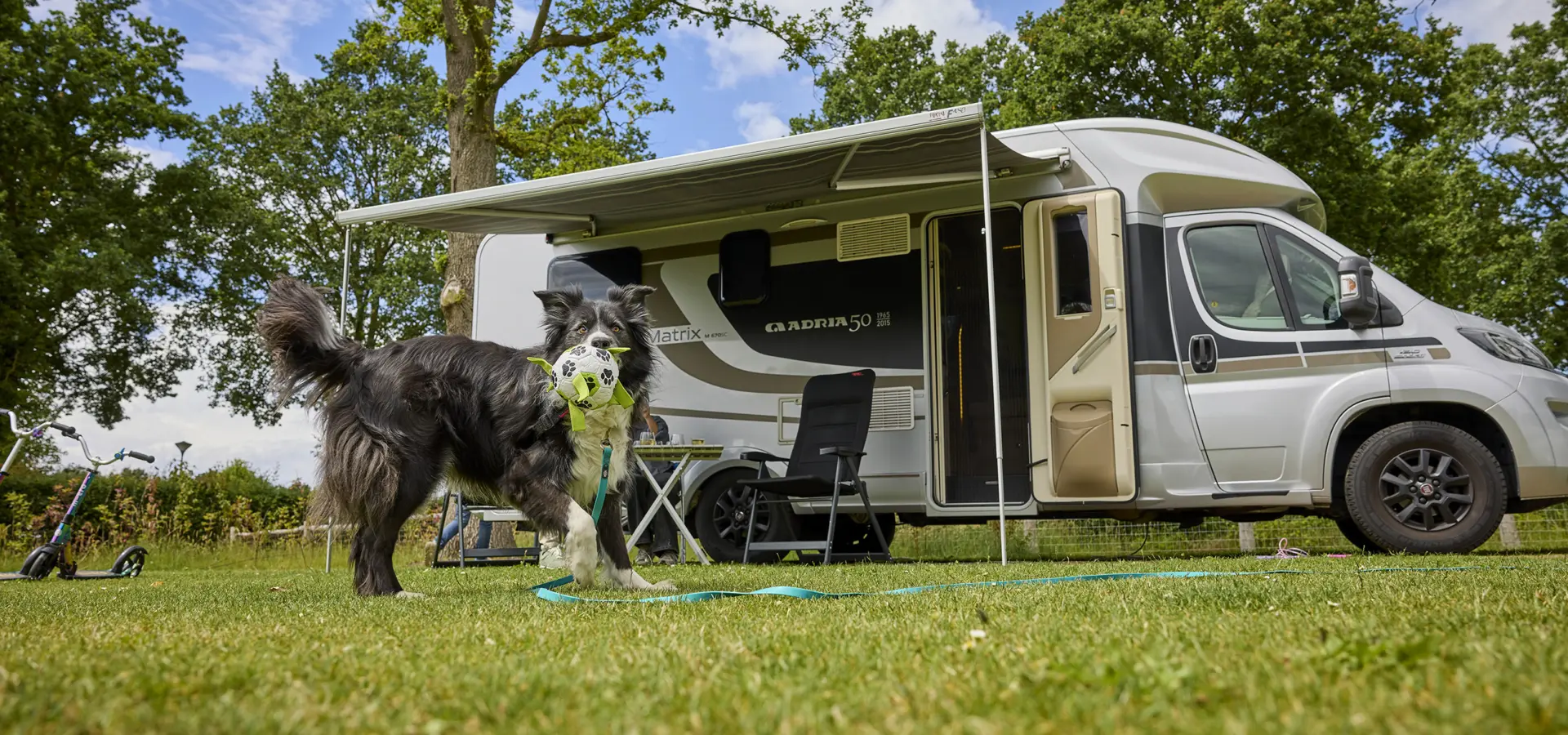 Kampeerplaats Comfort met huisdier 18