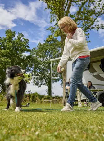 Kampeerplaats Comfort met huisdier 20