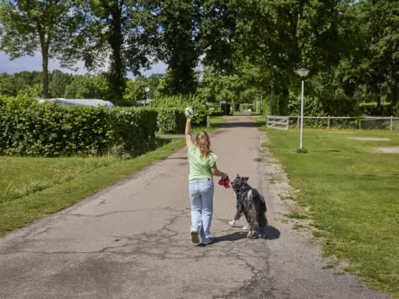 Kampeerplaats Comfort met huisdier 22
