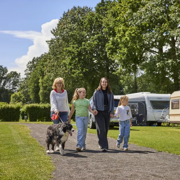 Kampeerplaats Comfort met huisdier 25