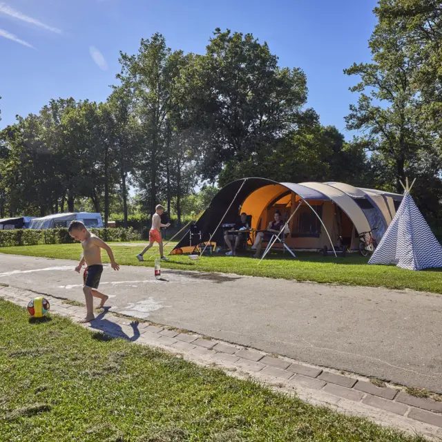 Kampeerplaats Standaard Plus 7