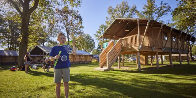 Glamping Tent Superior 11