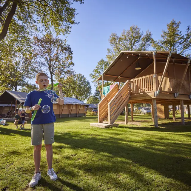 Glamping Tent Superior 11