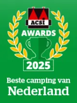 ACSI awards 2025