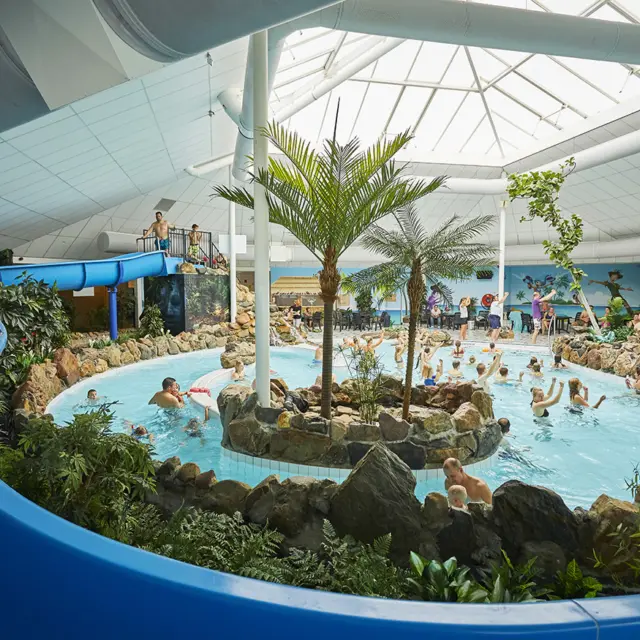 Subtropisch Zwembad 45