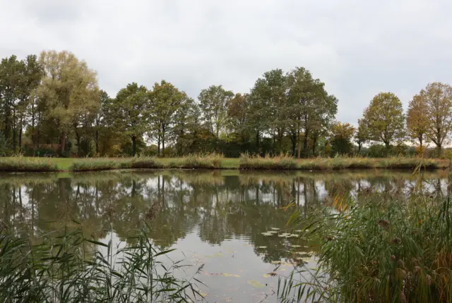 Visvijver 27