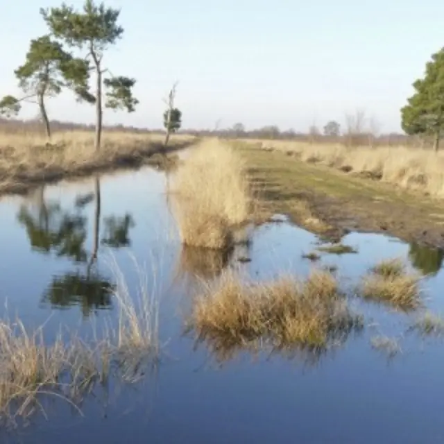 Nationaal park de grote peel