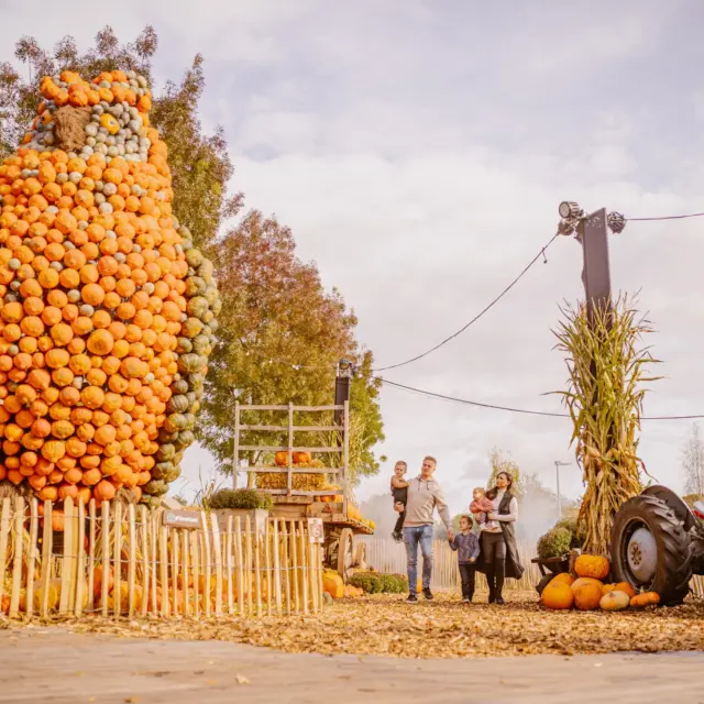 Halloween Days Pumpkin Farm