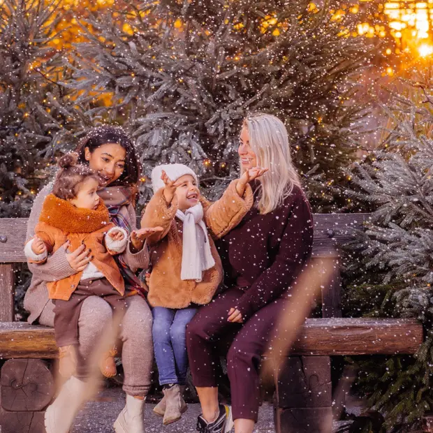 Winter Feelings Ithaka