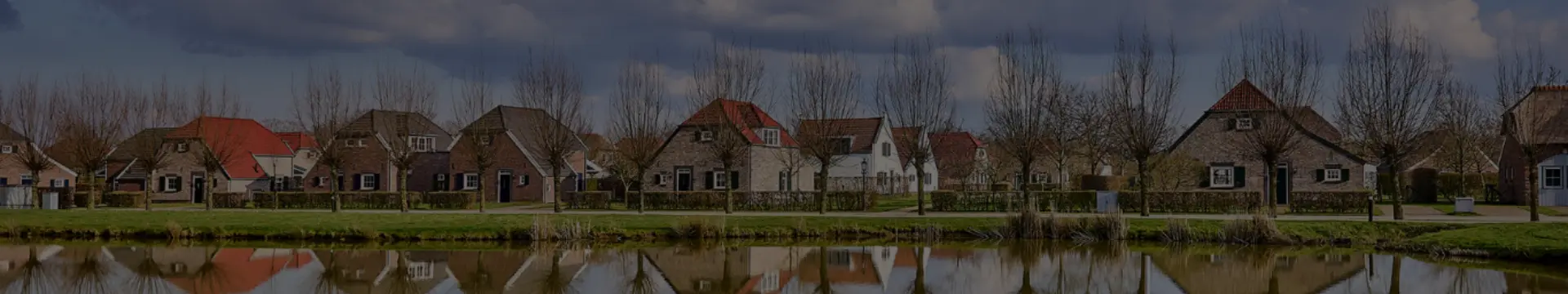 BDL Black Friday Banner