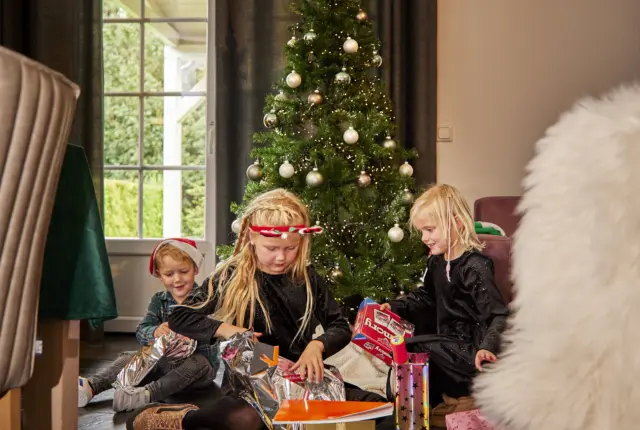 Buitenhof de Leistert Kerstmis 15
